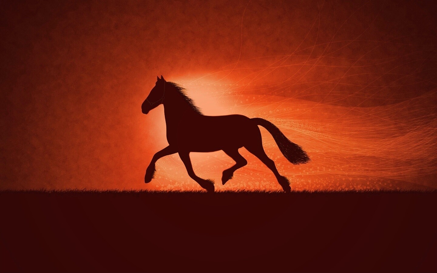 Силует коня на закате обои