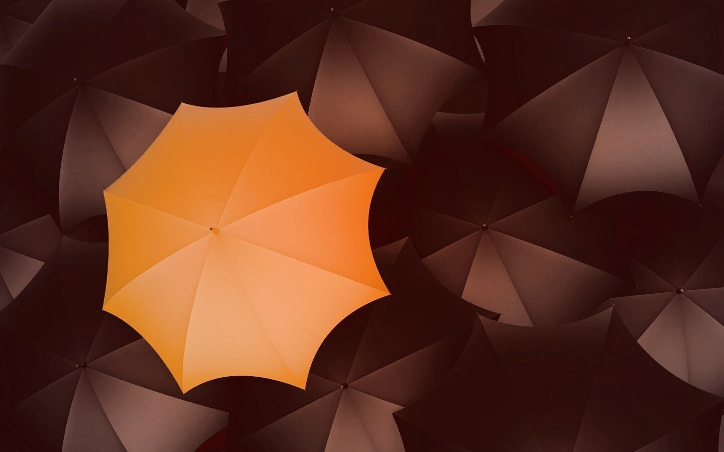 Жёлтый среди чёрных обои