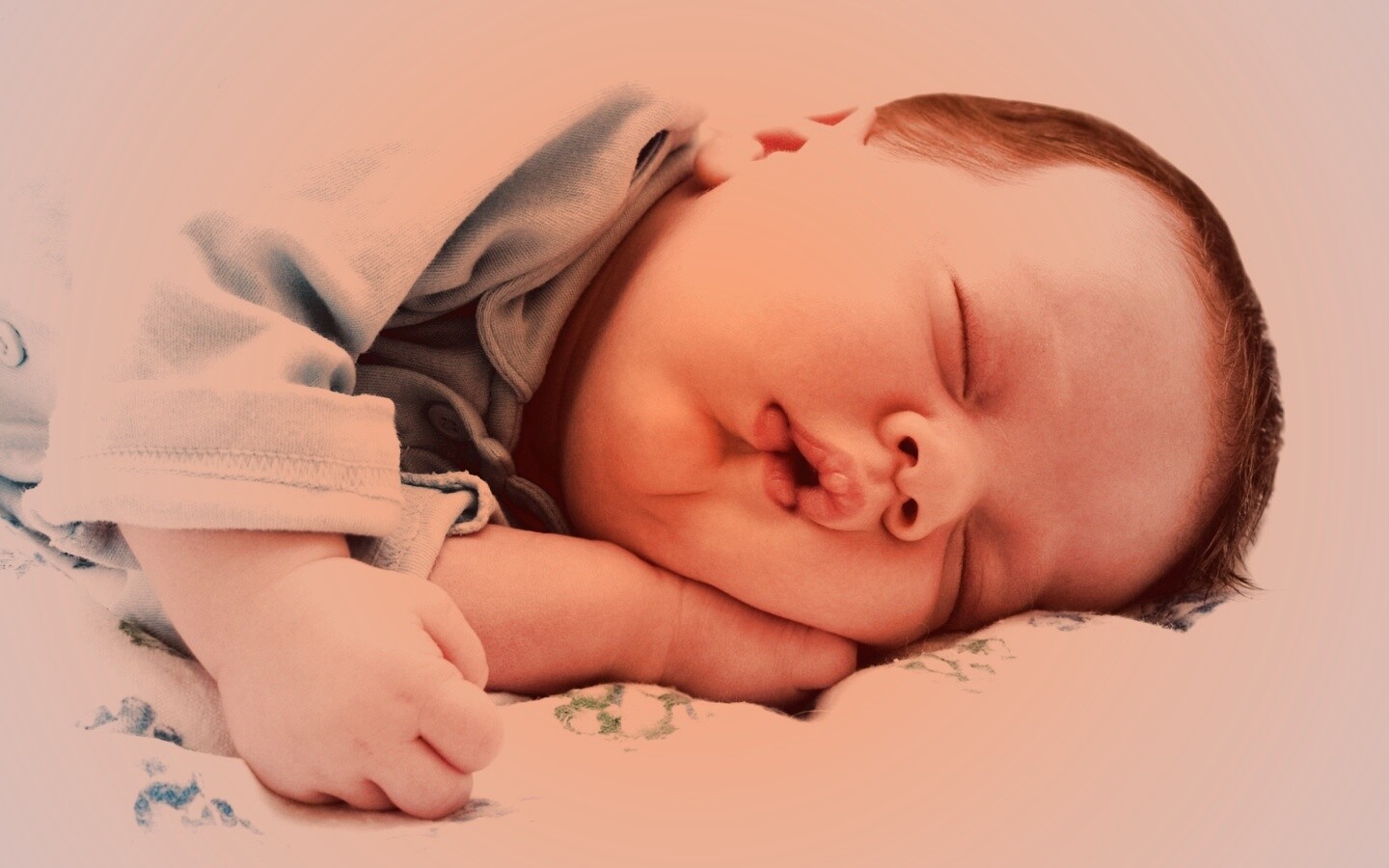 Спящая прелесть обои