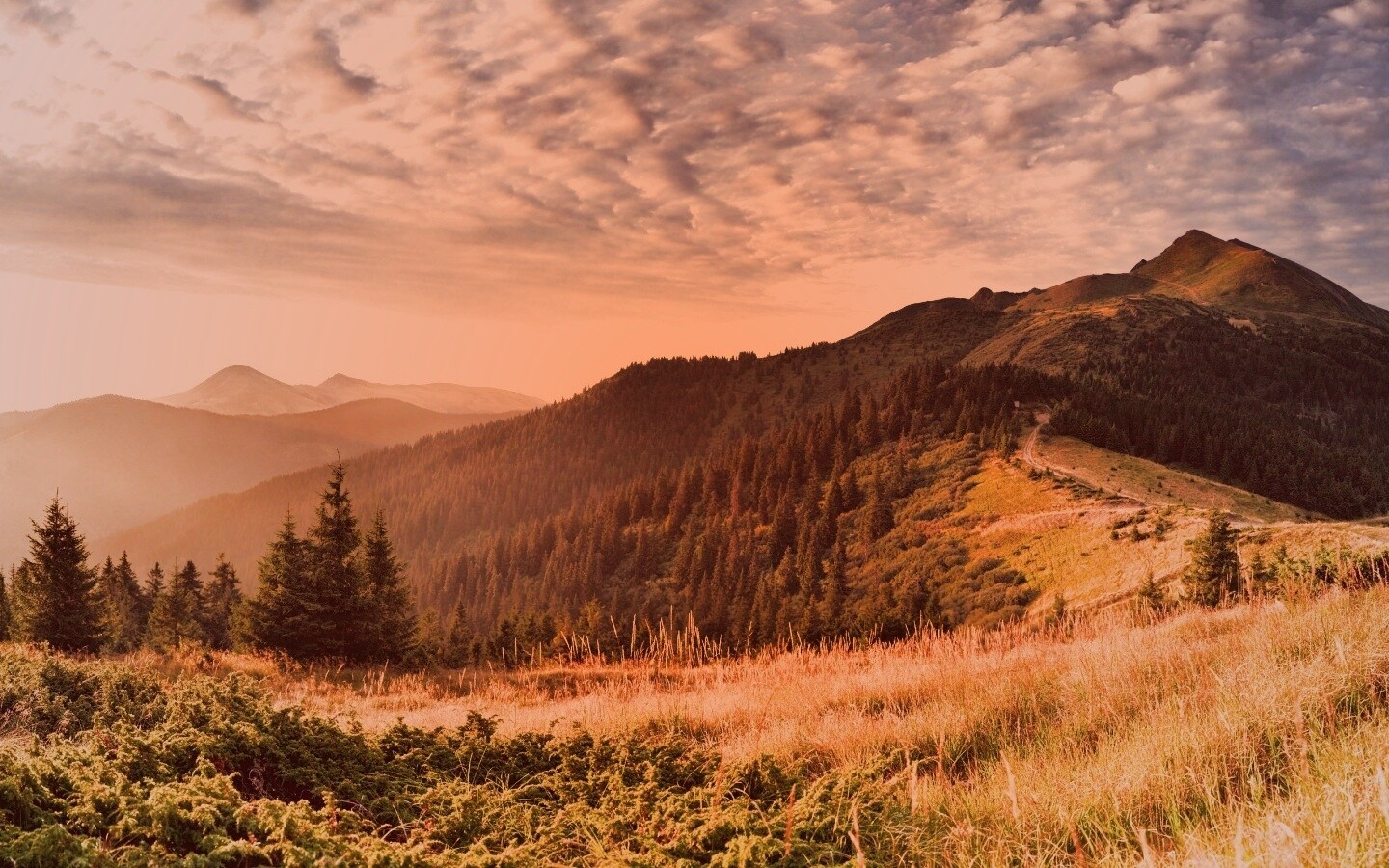 Предгорье обои