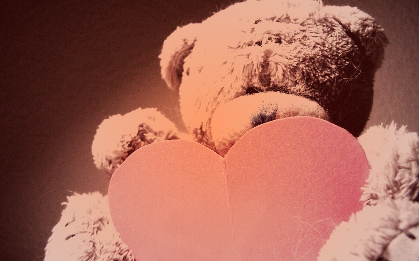 Мишка с сердцечком обои