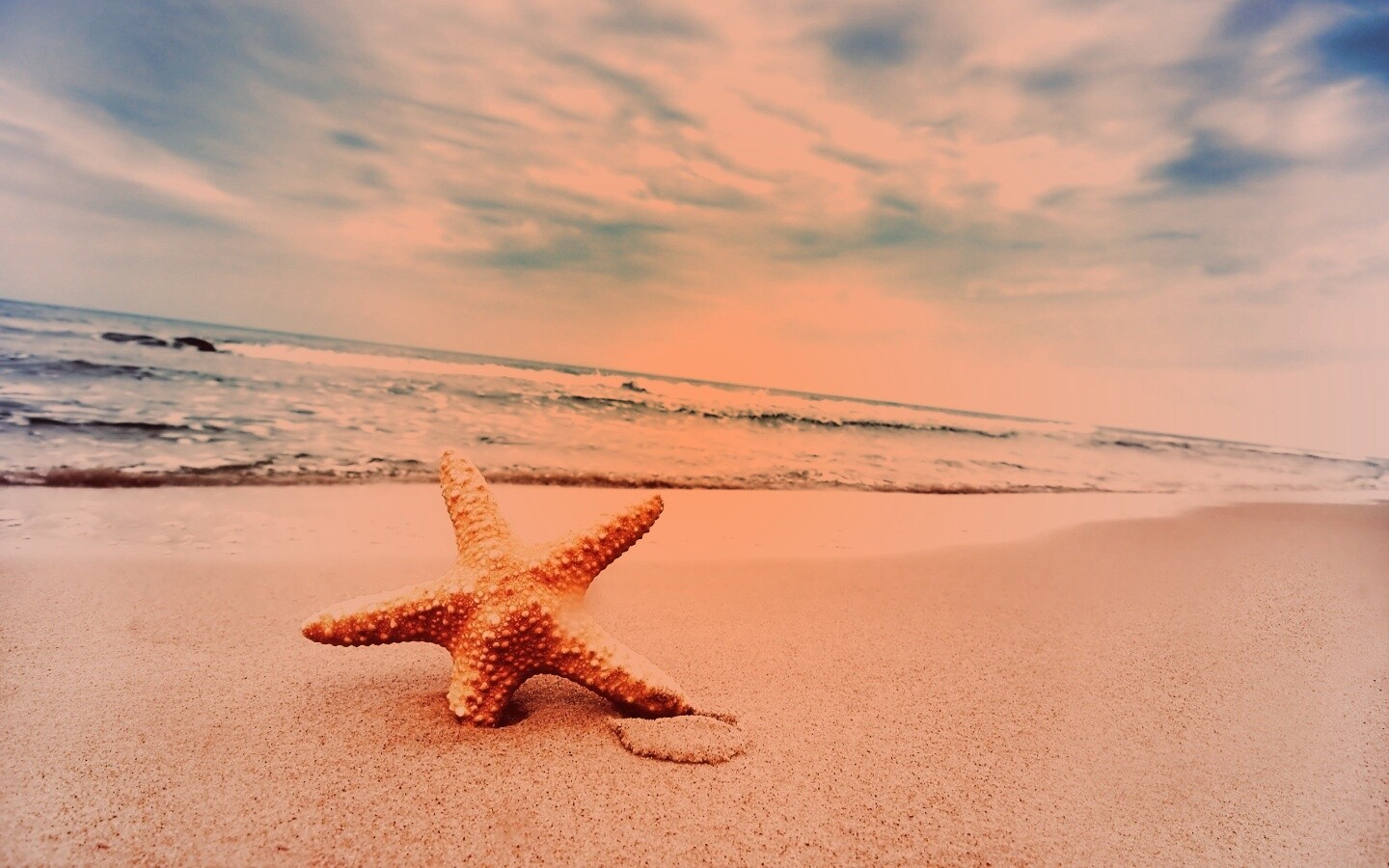 Морская звезда в песке обои