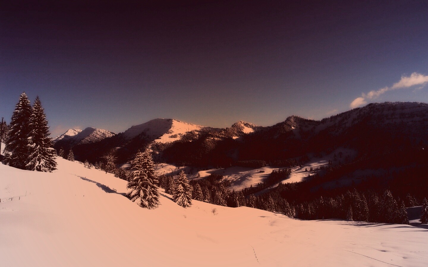 Лес в горах обои