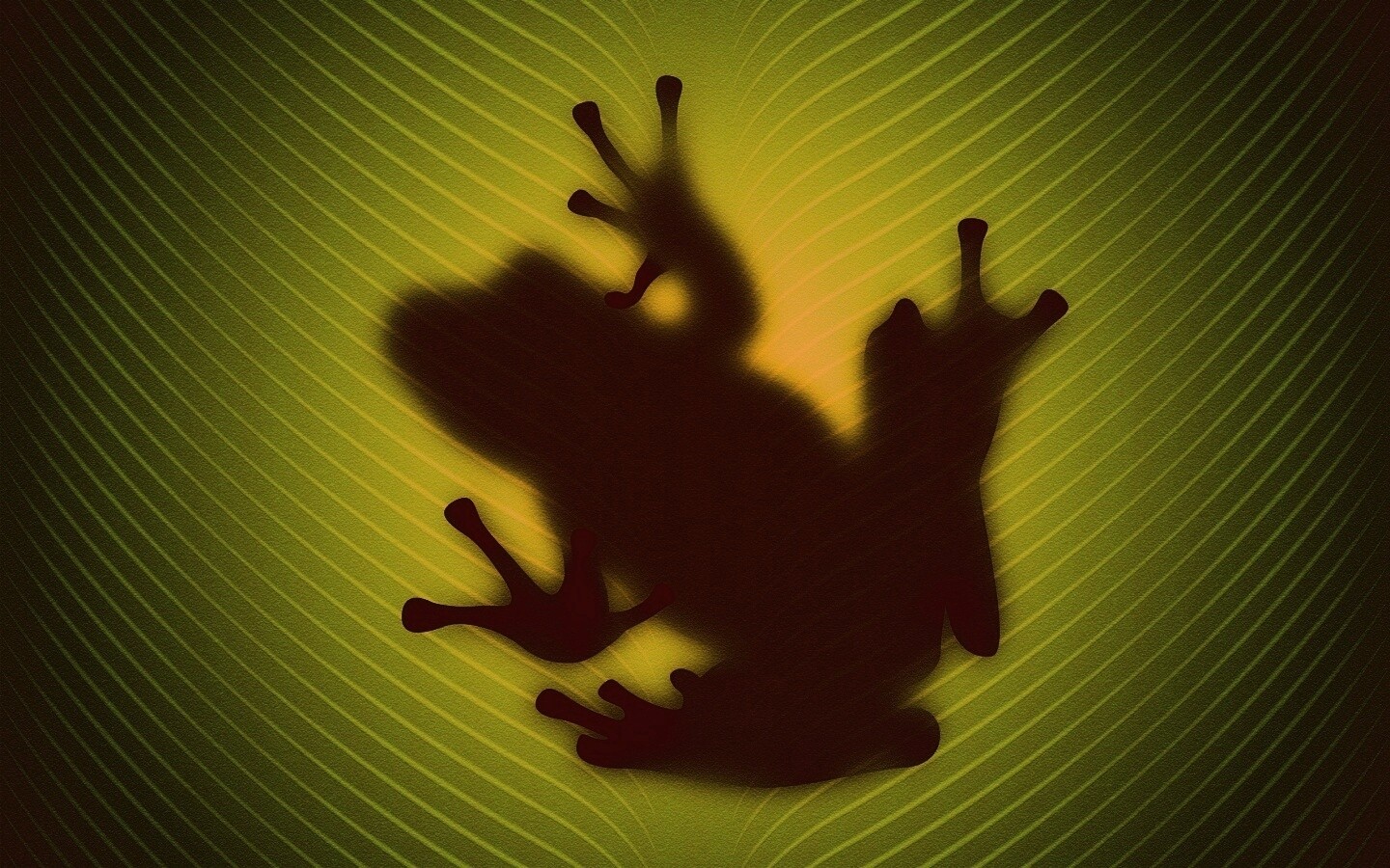 Силуэт лягушки просвечивает сквозь зеленый лист обои