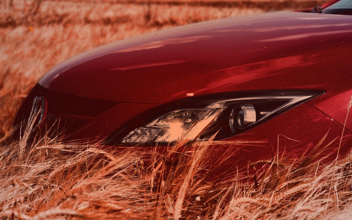 Мазда в пшенице обои