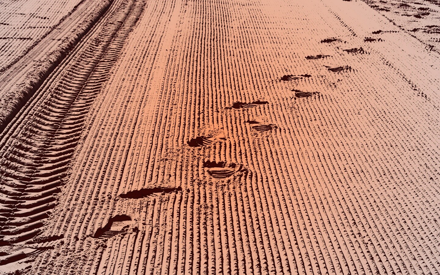 Следы на песке обои