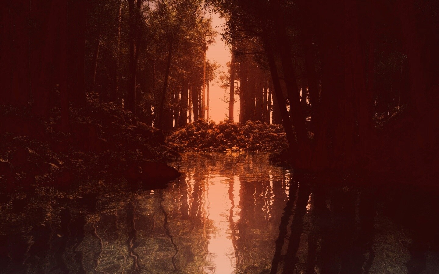 Болото в лесу обои