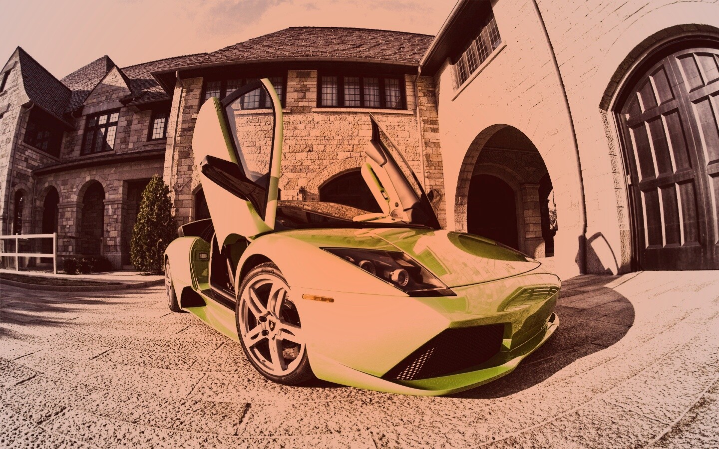 Зеленая ламба обои