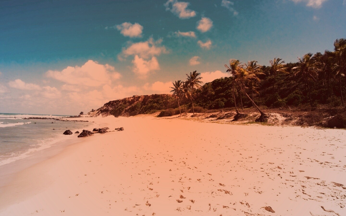 Туры в Бразилию в Лондрину обои