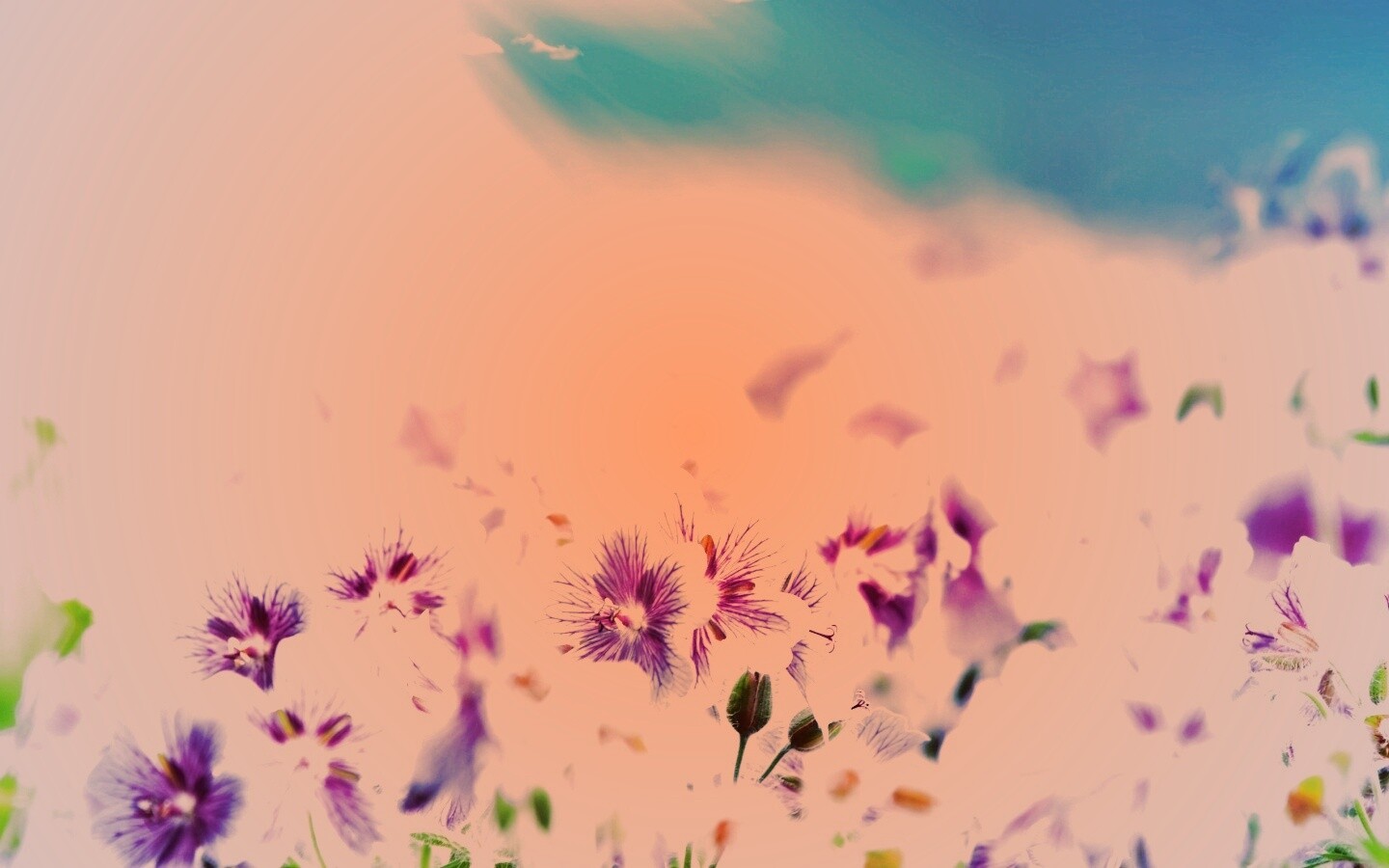 Цветочки обои