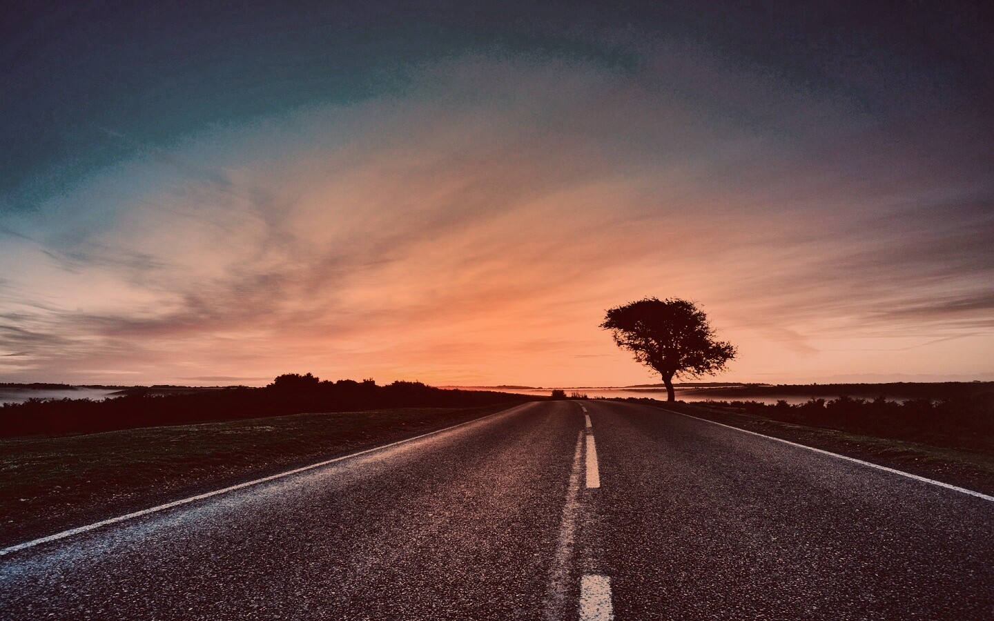 Дорога обои