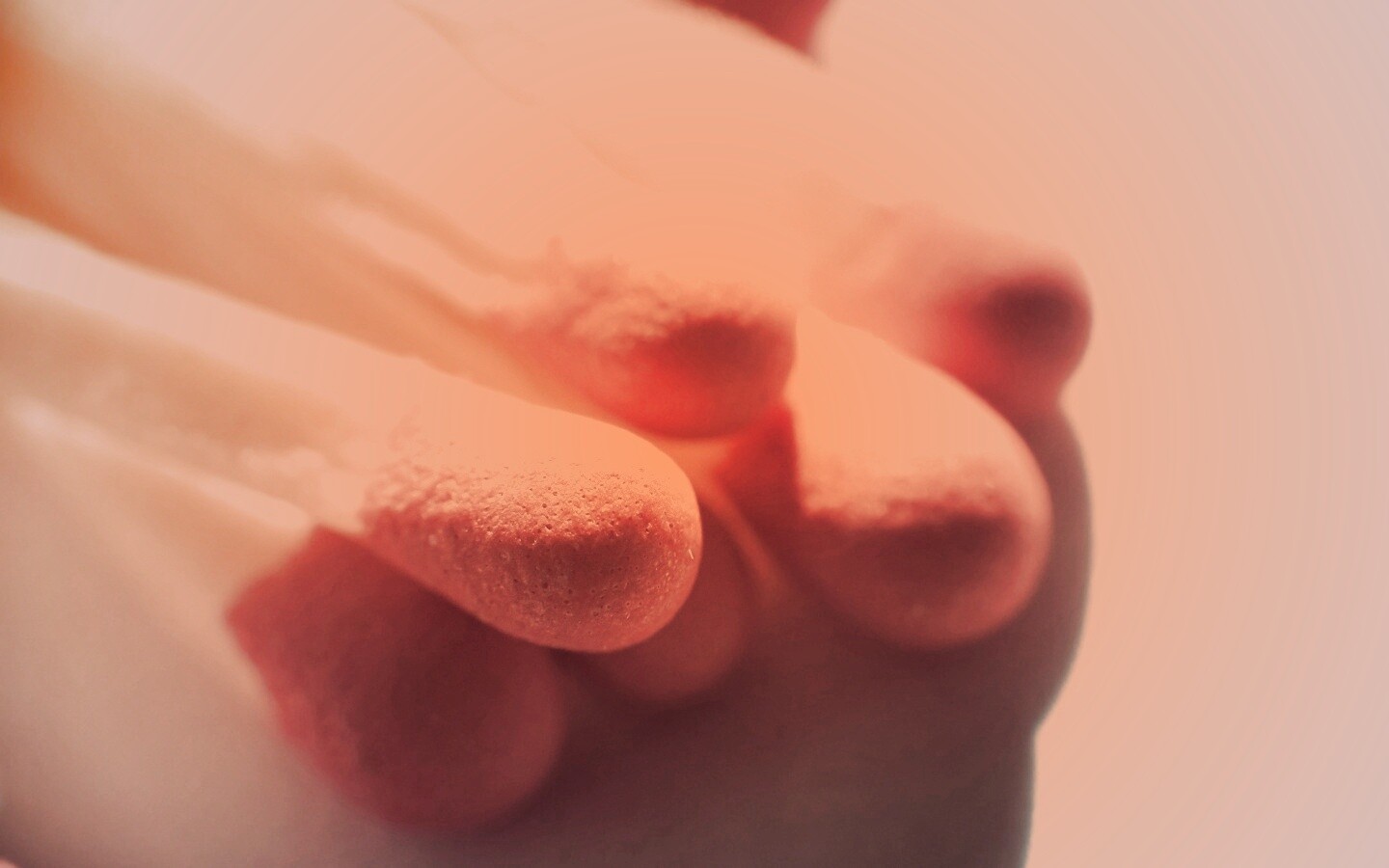 Спички в макро съемке обои