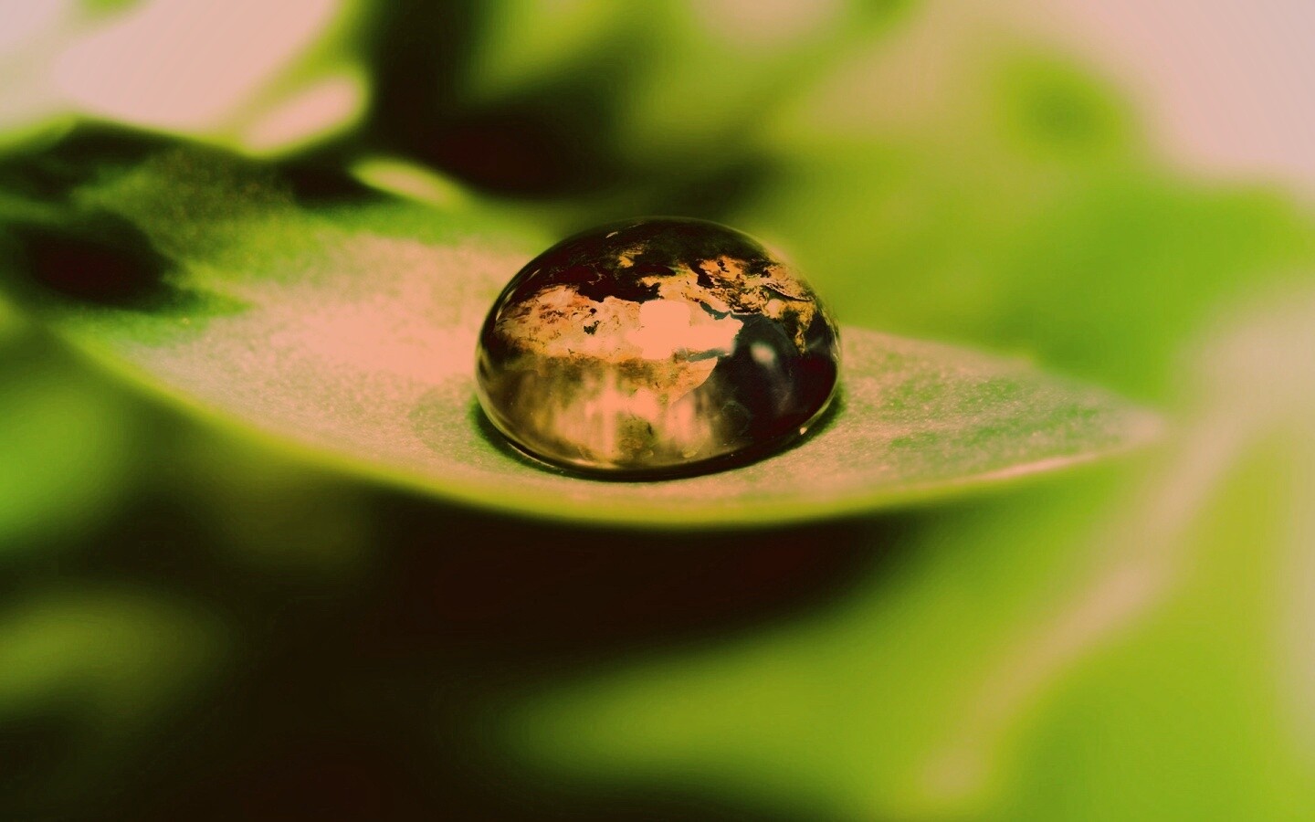 Целый мир в капле воды обои