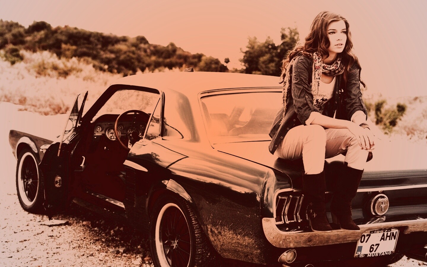 Девушка на мустанге обои