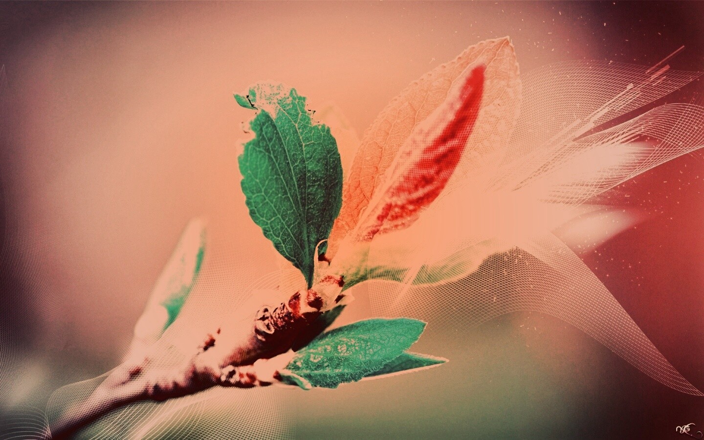 Разноцветные листья обои