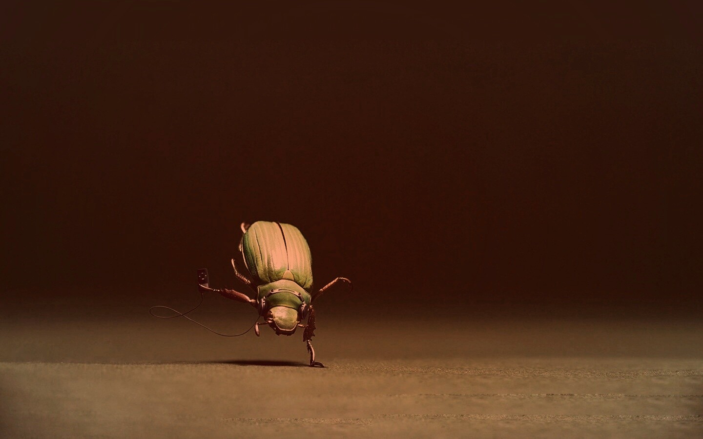 Жук фристайлер обои