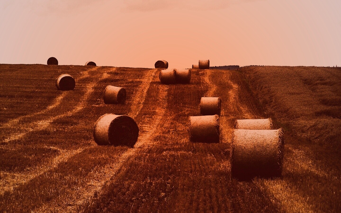 Уборка сена с поля обои