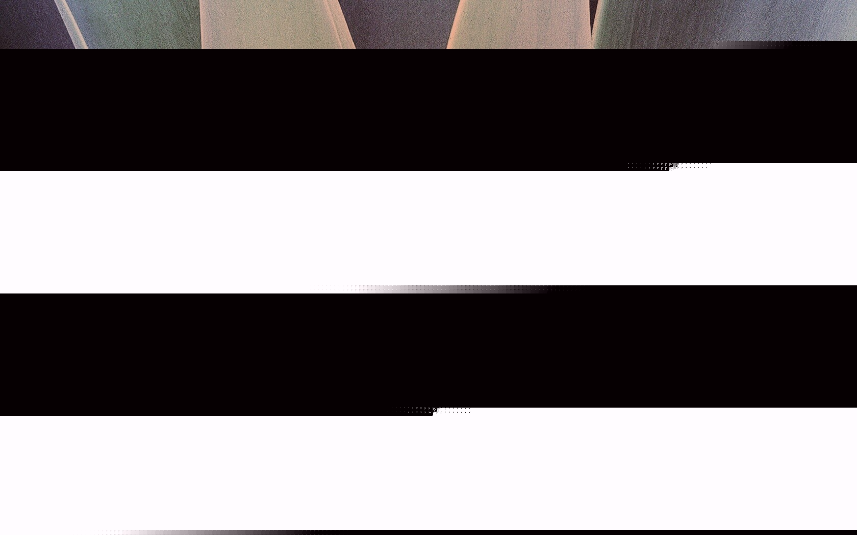 Растение обои