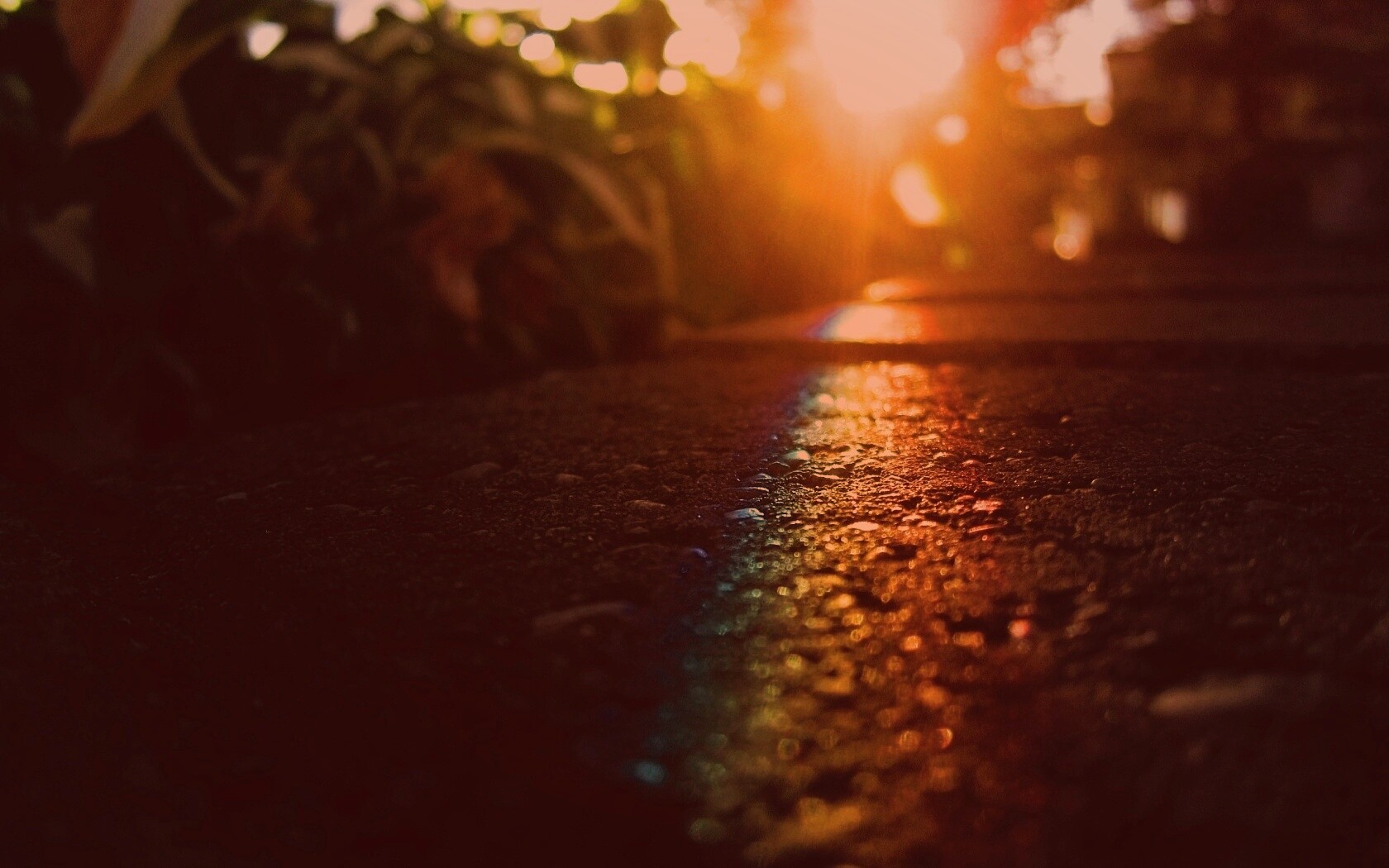 Макро радуга на камне обои