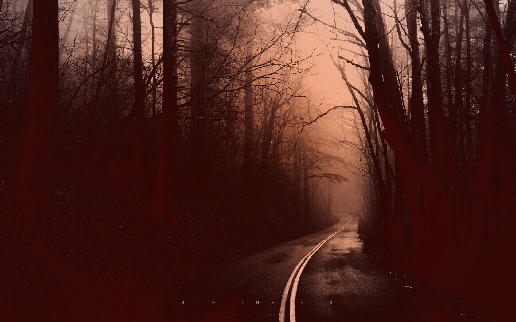 В туман обои