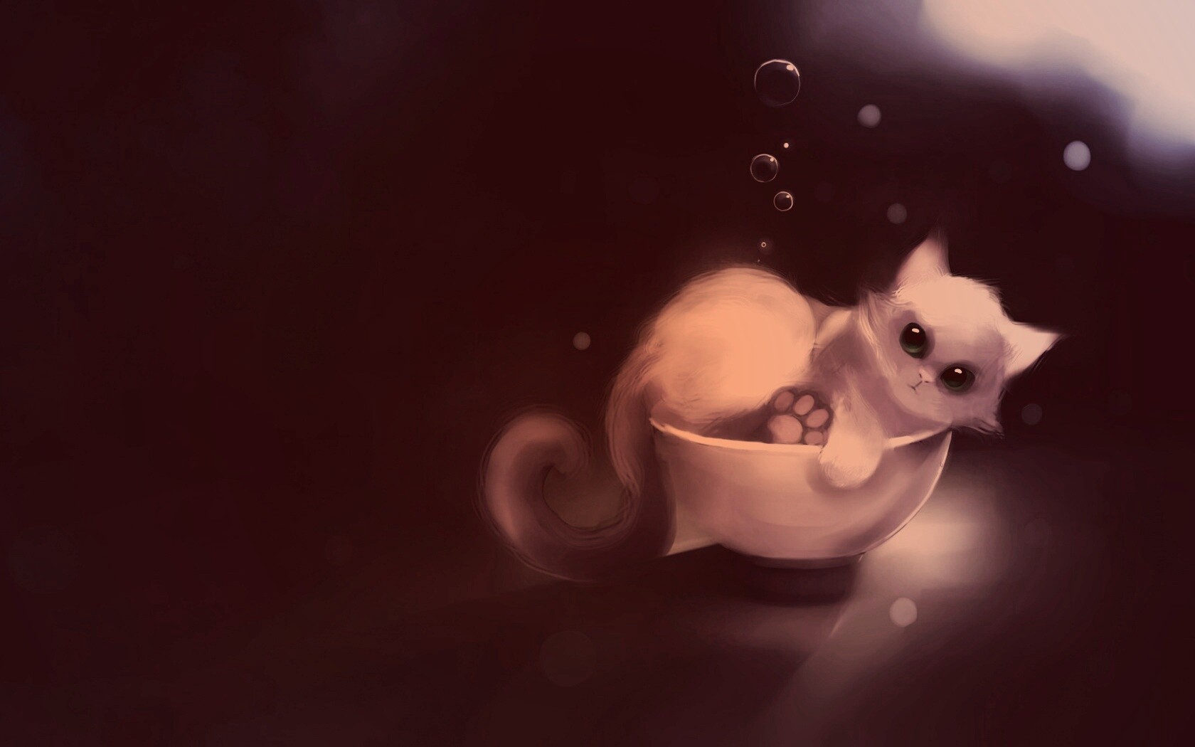 Котёнок в миске обои