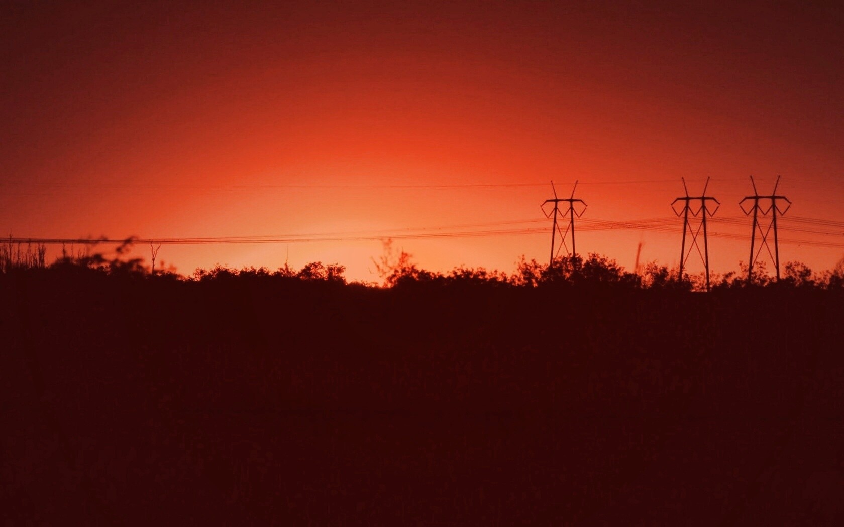 Закат за лесом обои