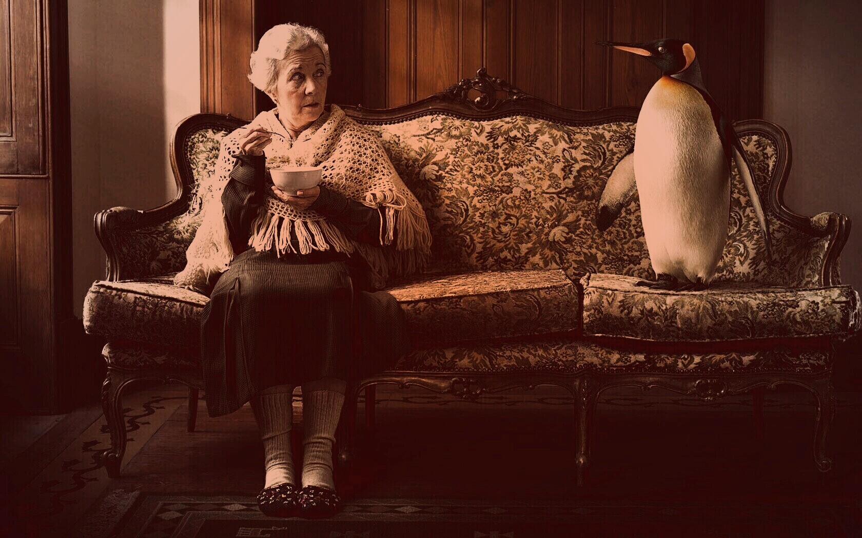 Соседи по дивану обои