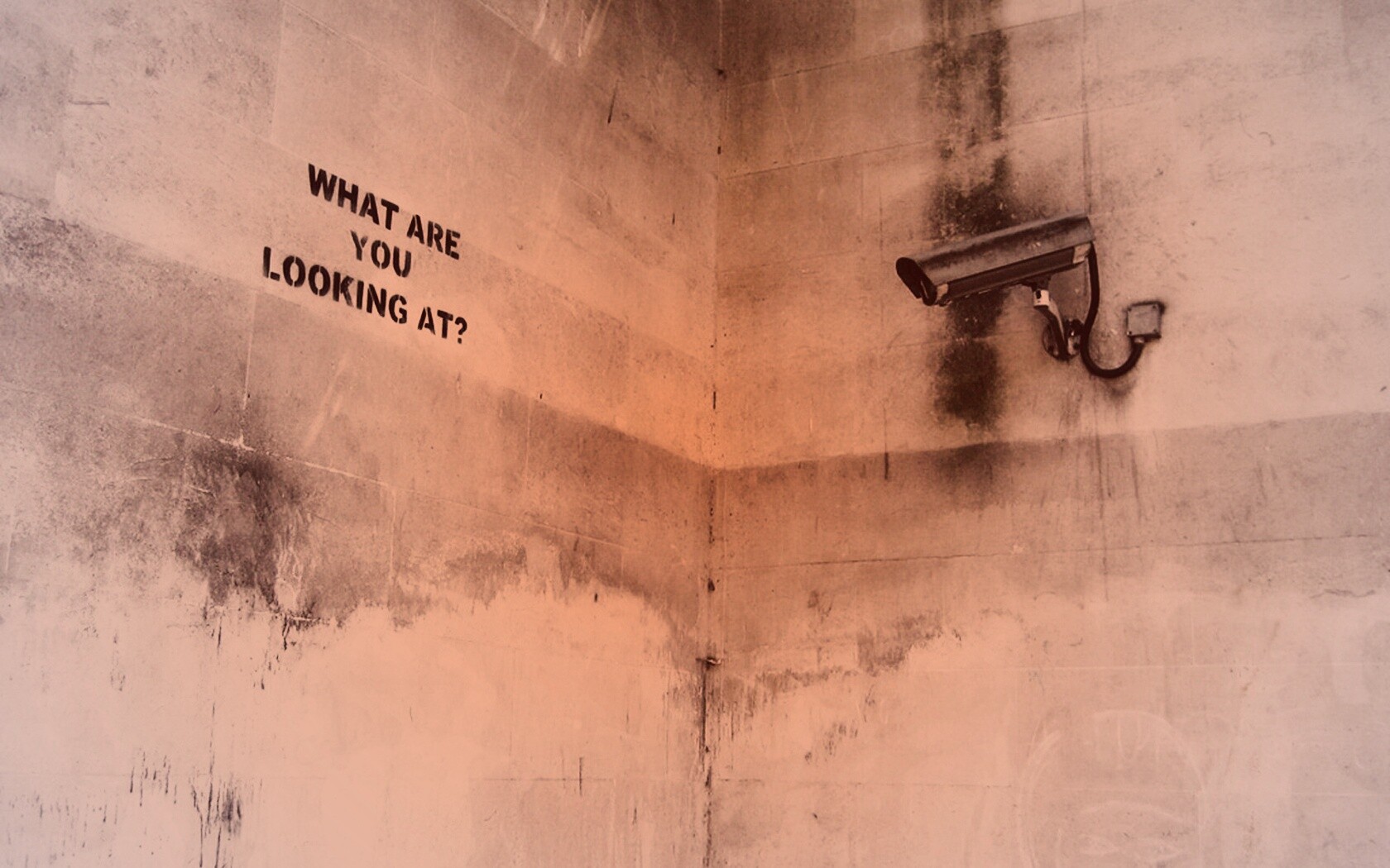 На что ты смотришь? обои