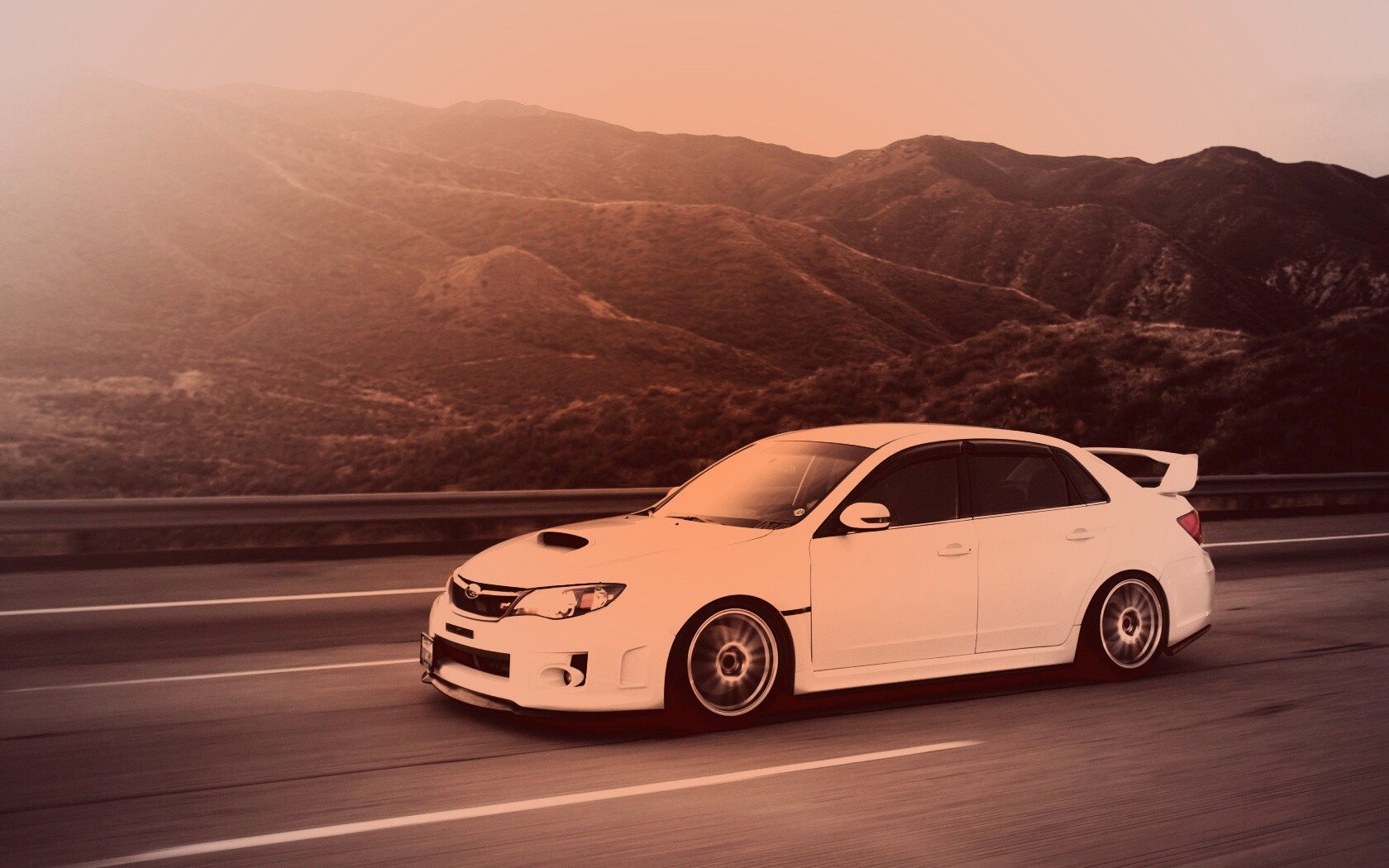 Белый субарь на тарссе обои