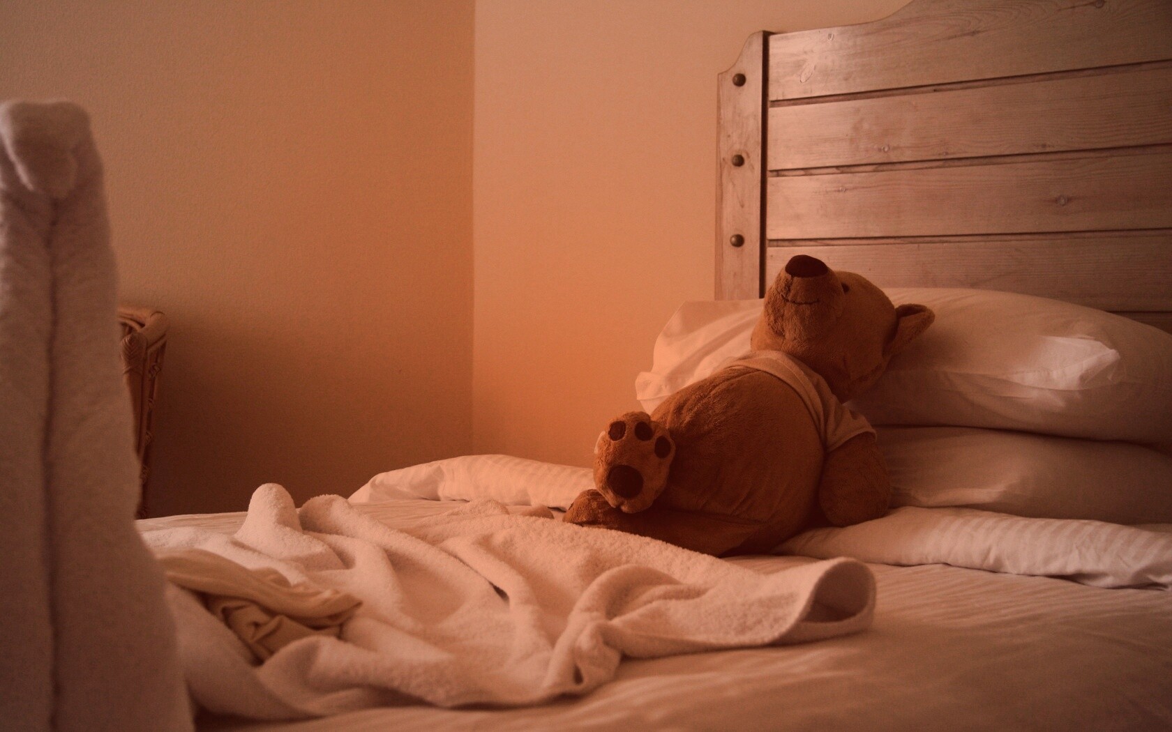 Медвежонок в постели обои