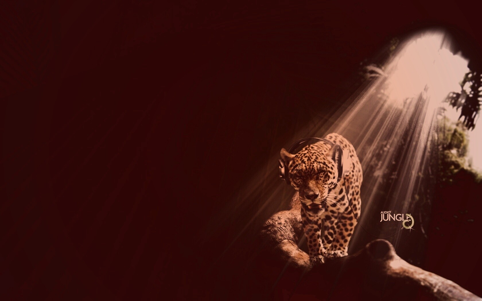 Ягуар в наушниках обои