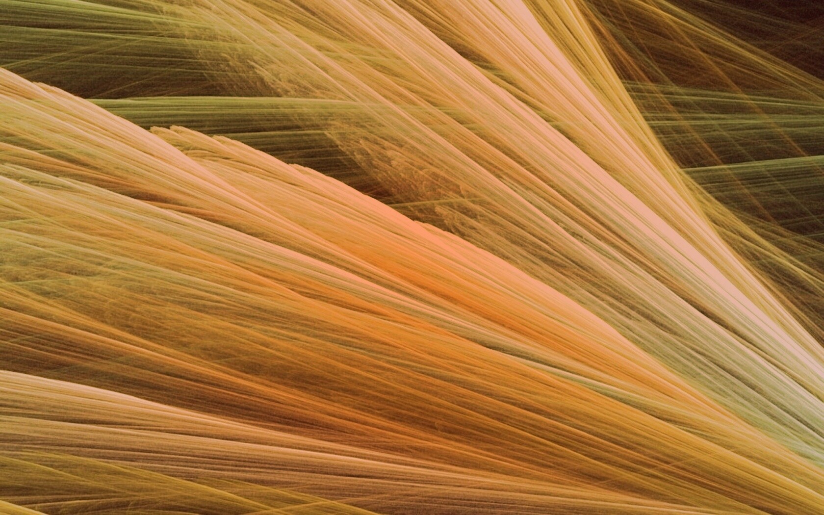 Прозрачные зеленоватые крылья обои