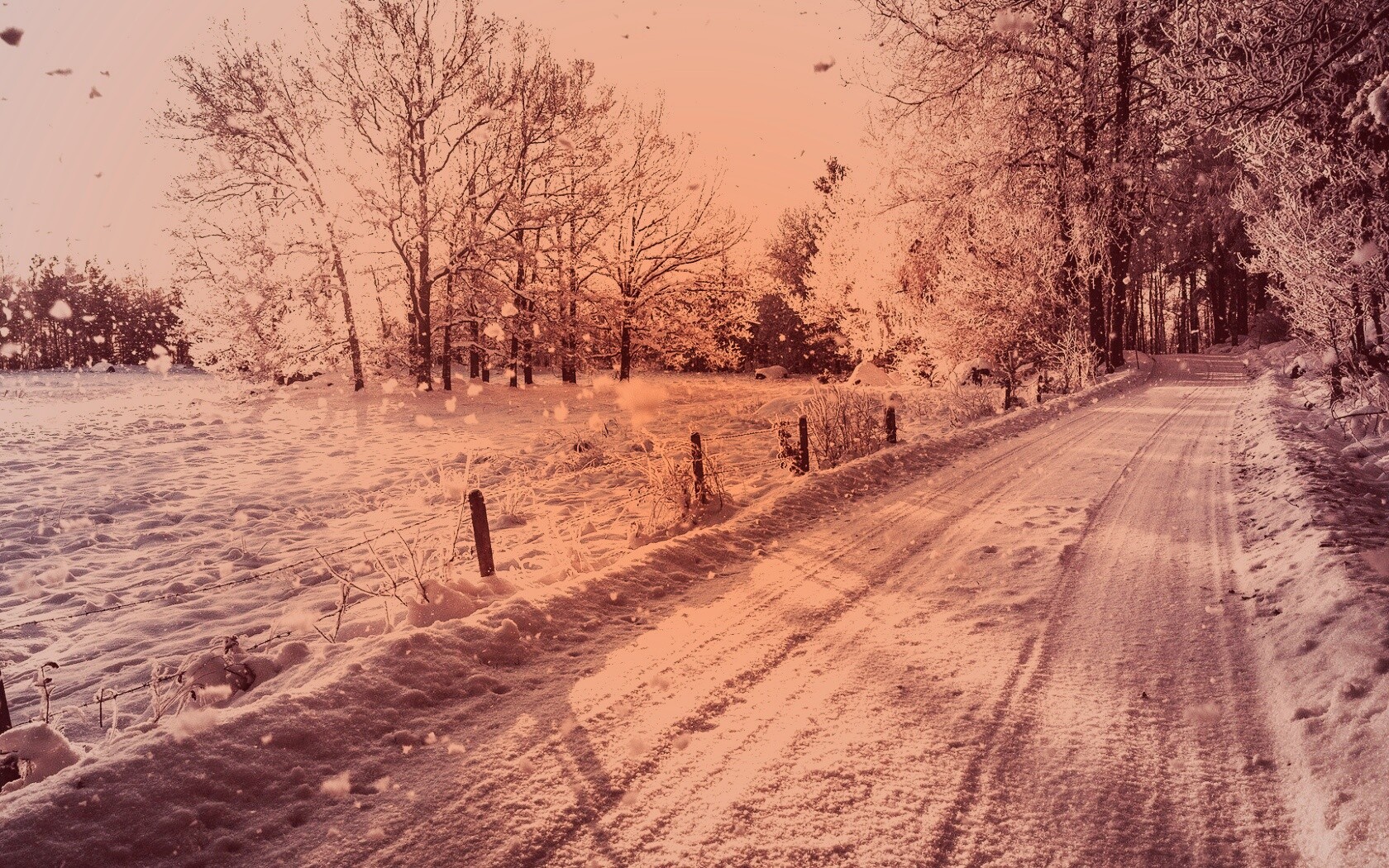 Снежная дорога залитая солнцем обои