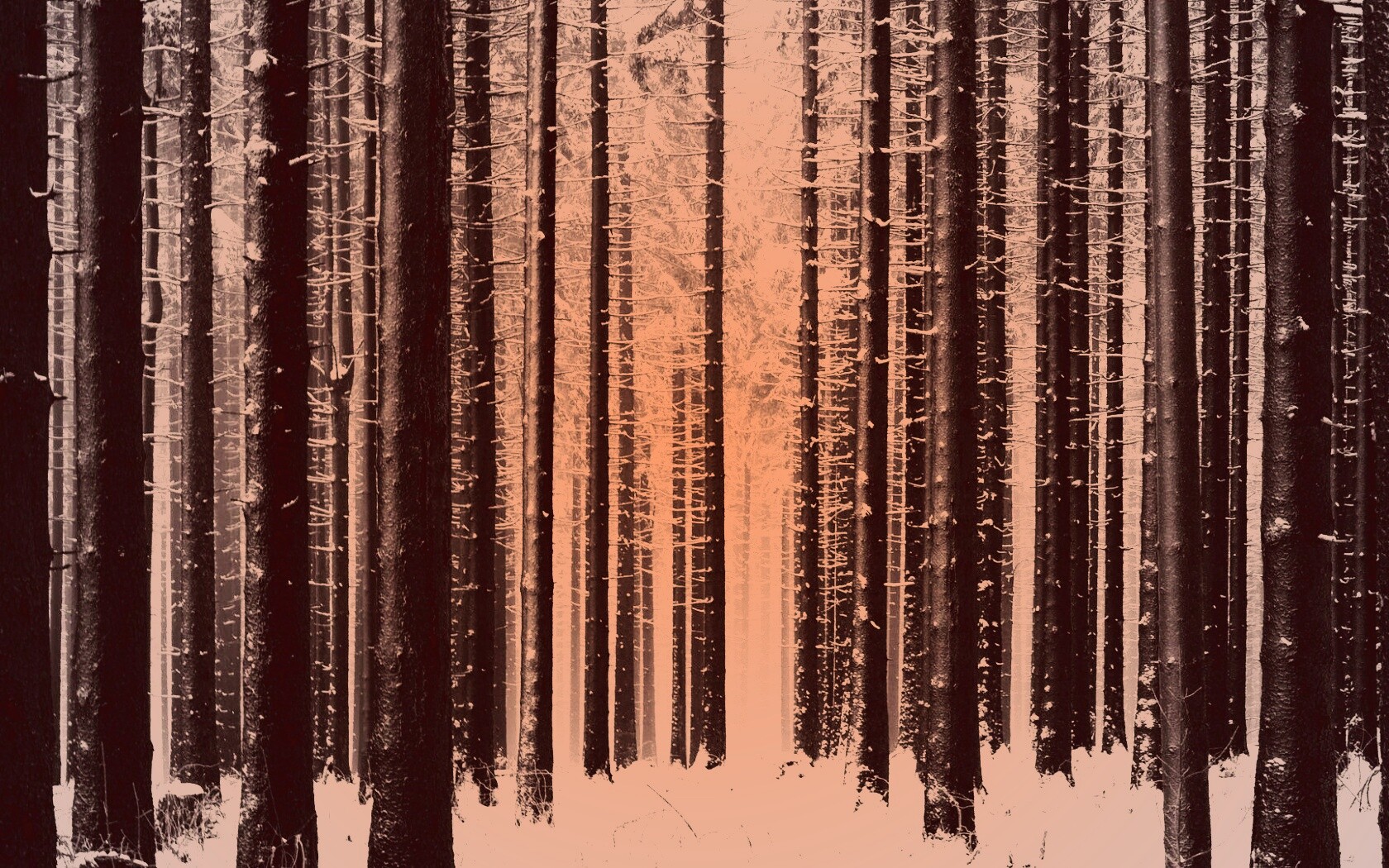 Зимний лес как штрихкод обои