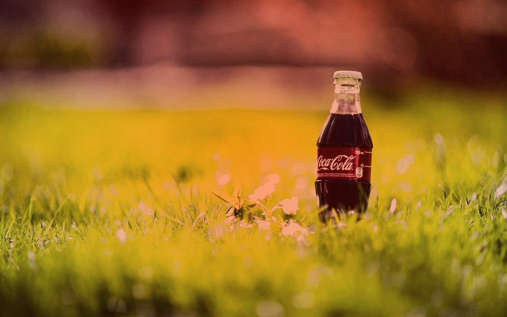 Кока-Кола на траве обои