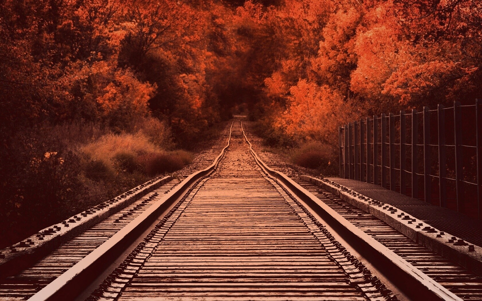 Железная дорога в осеннем лесу обои