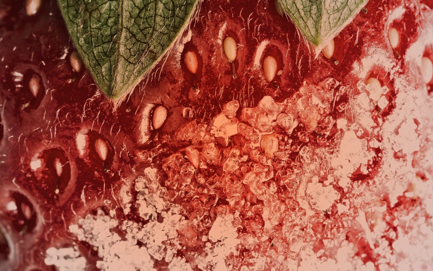 Клубника в сахаре обои