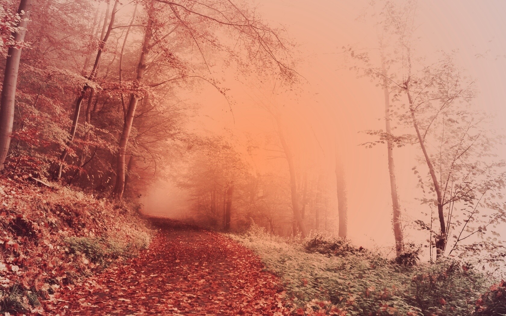 Осенний мистический пейзаж обои