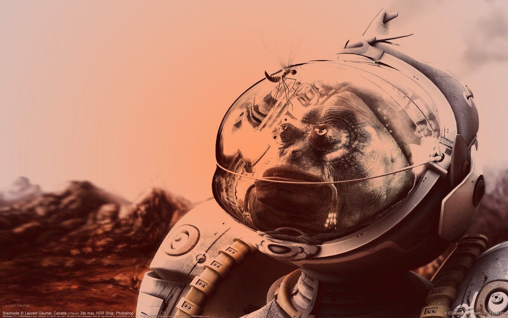 Инопланетянин и стрекоза обои