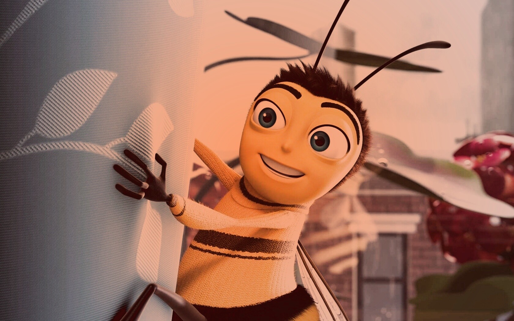 Бимуви обои