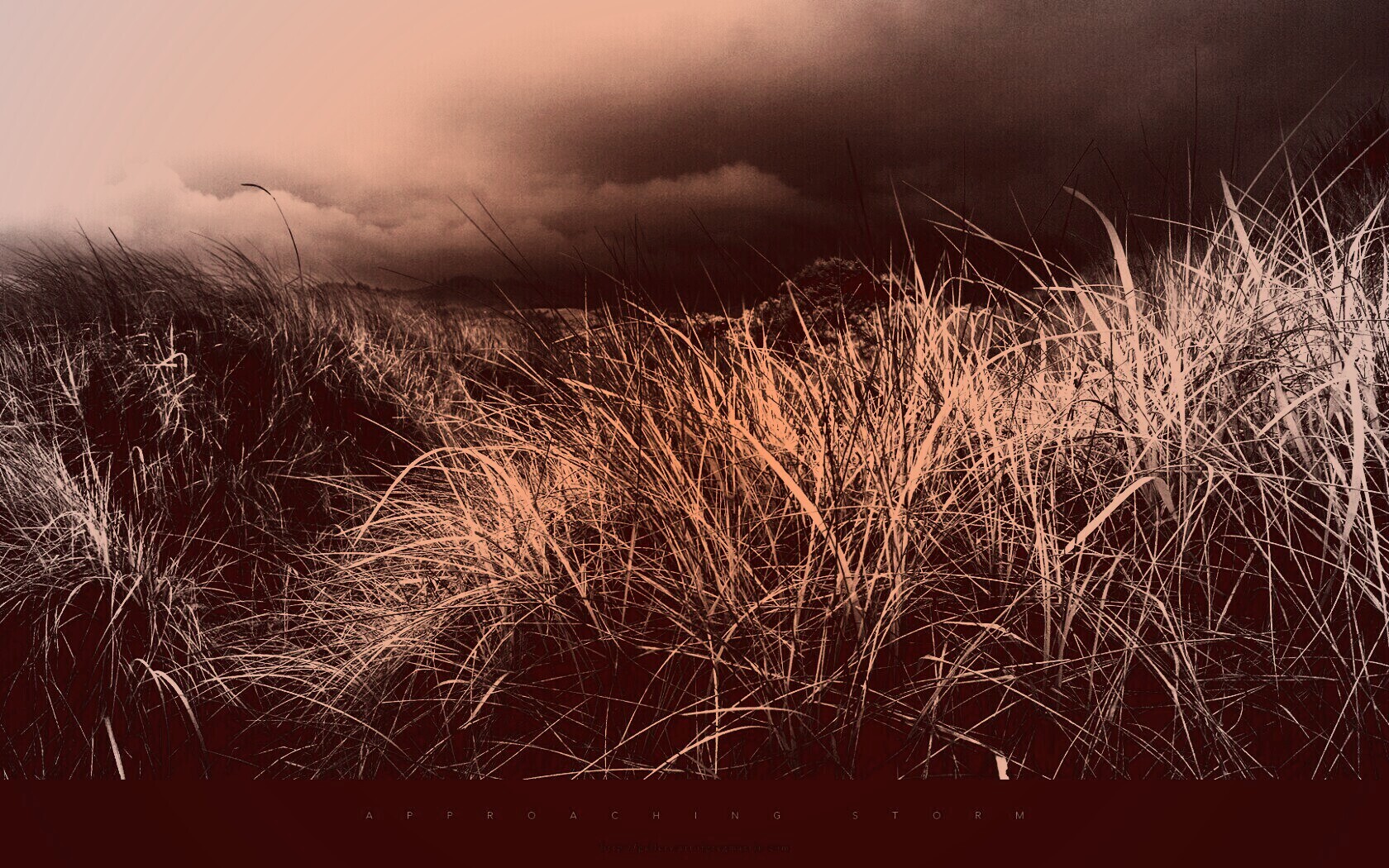 В ожидании шторма обои