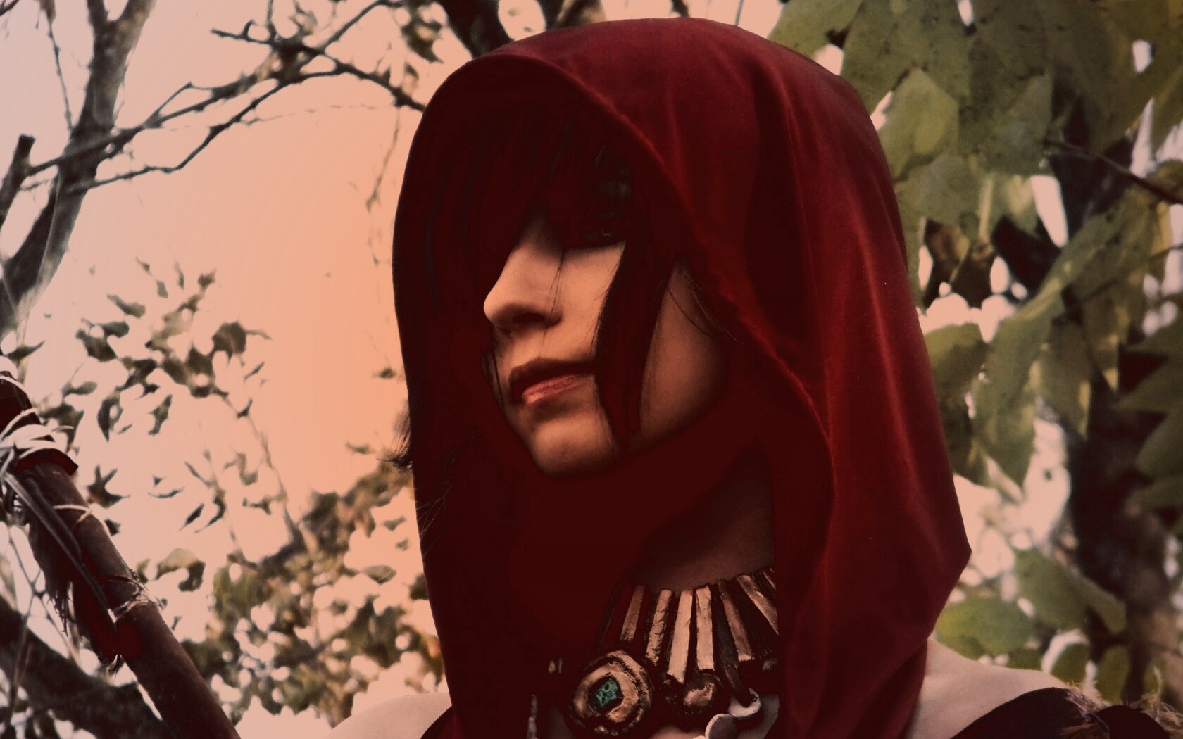 Косплей Морриган обои