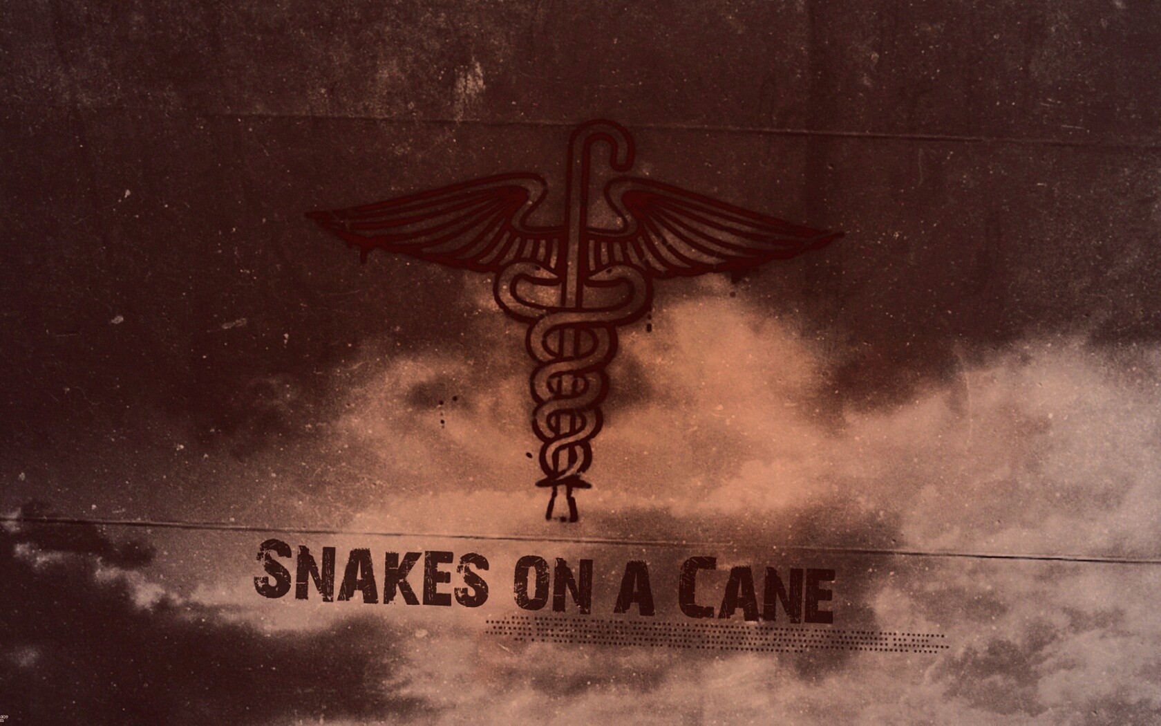 Змеи на трости обои