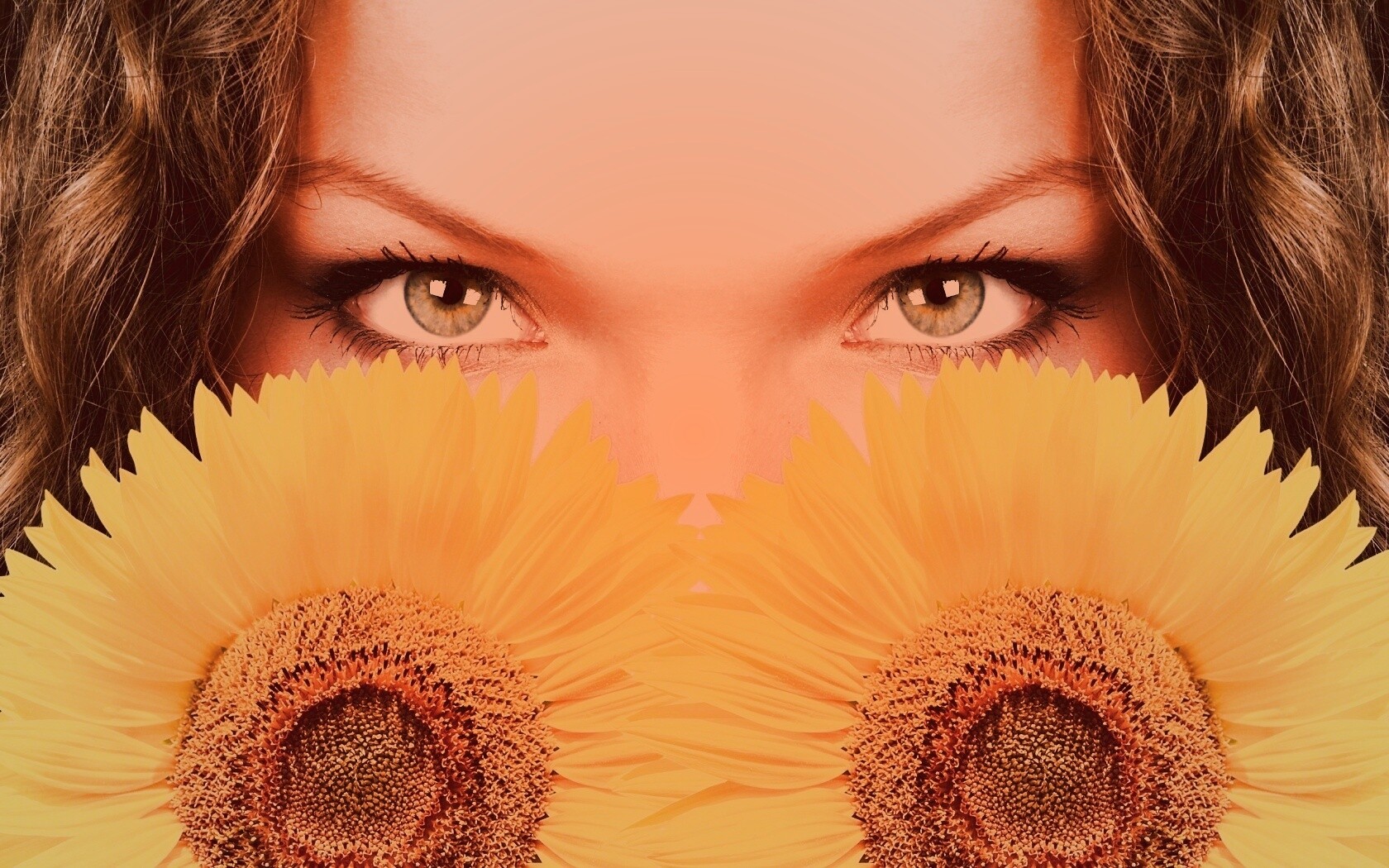 Девушка с желтыми ромашками обои