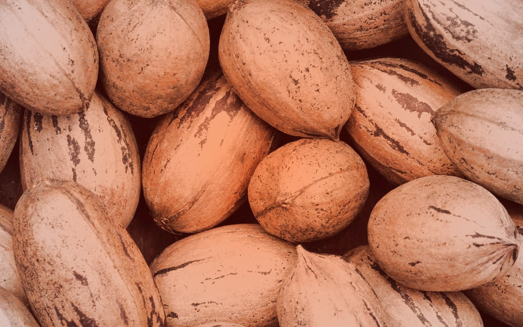 Грецкие орехи обои