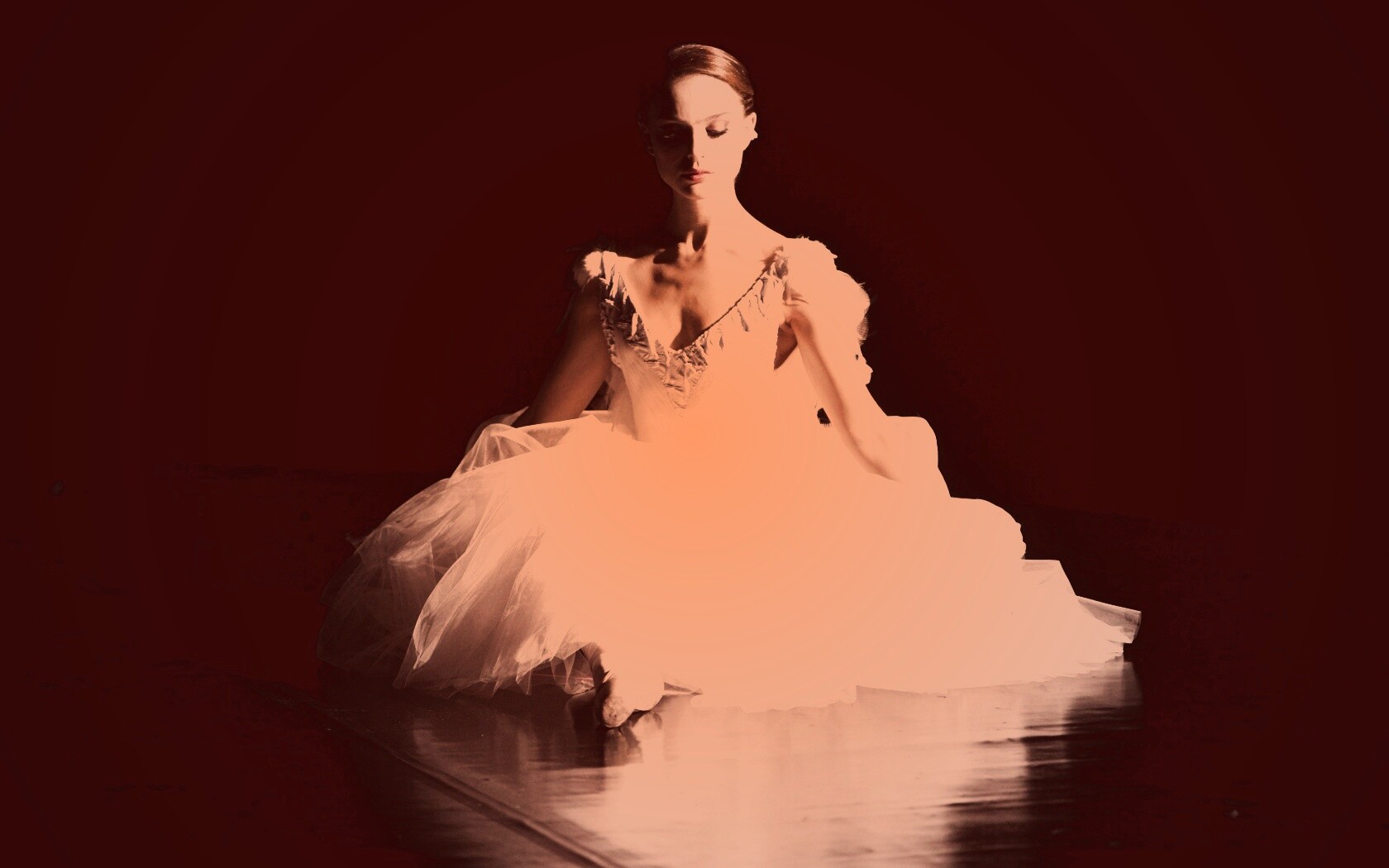 Черный лебедь обои