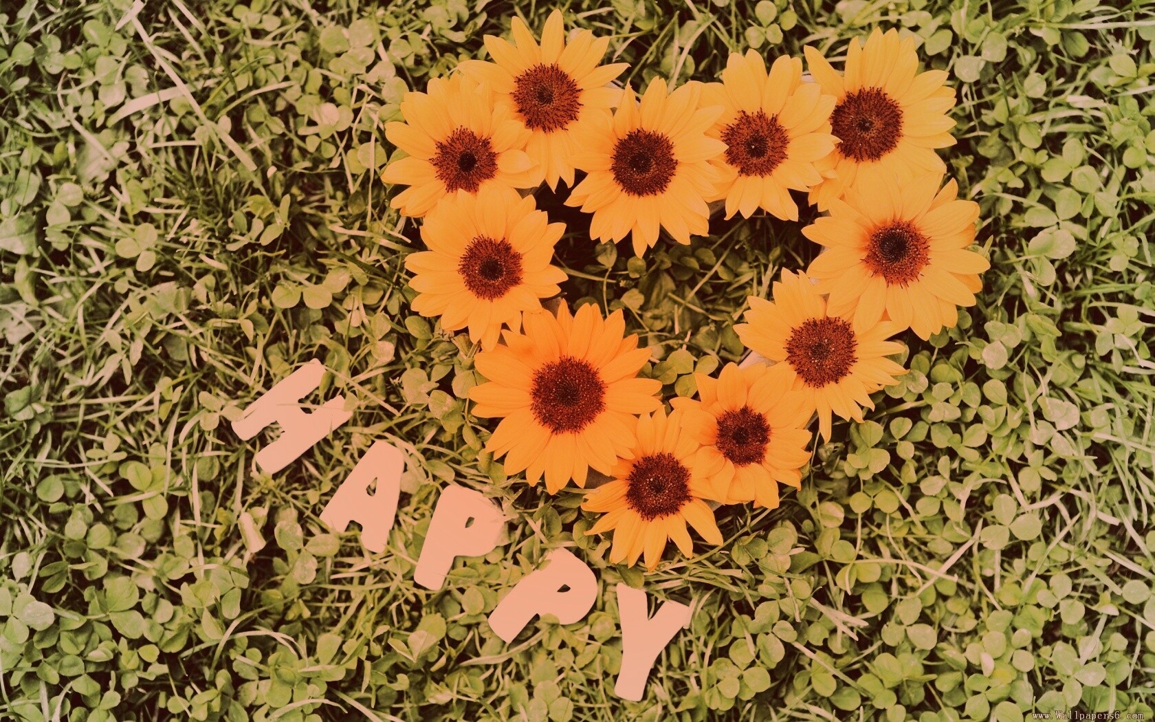 Радость обои