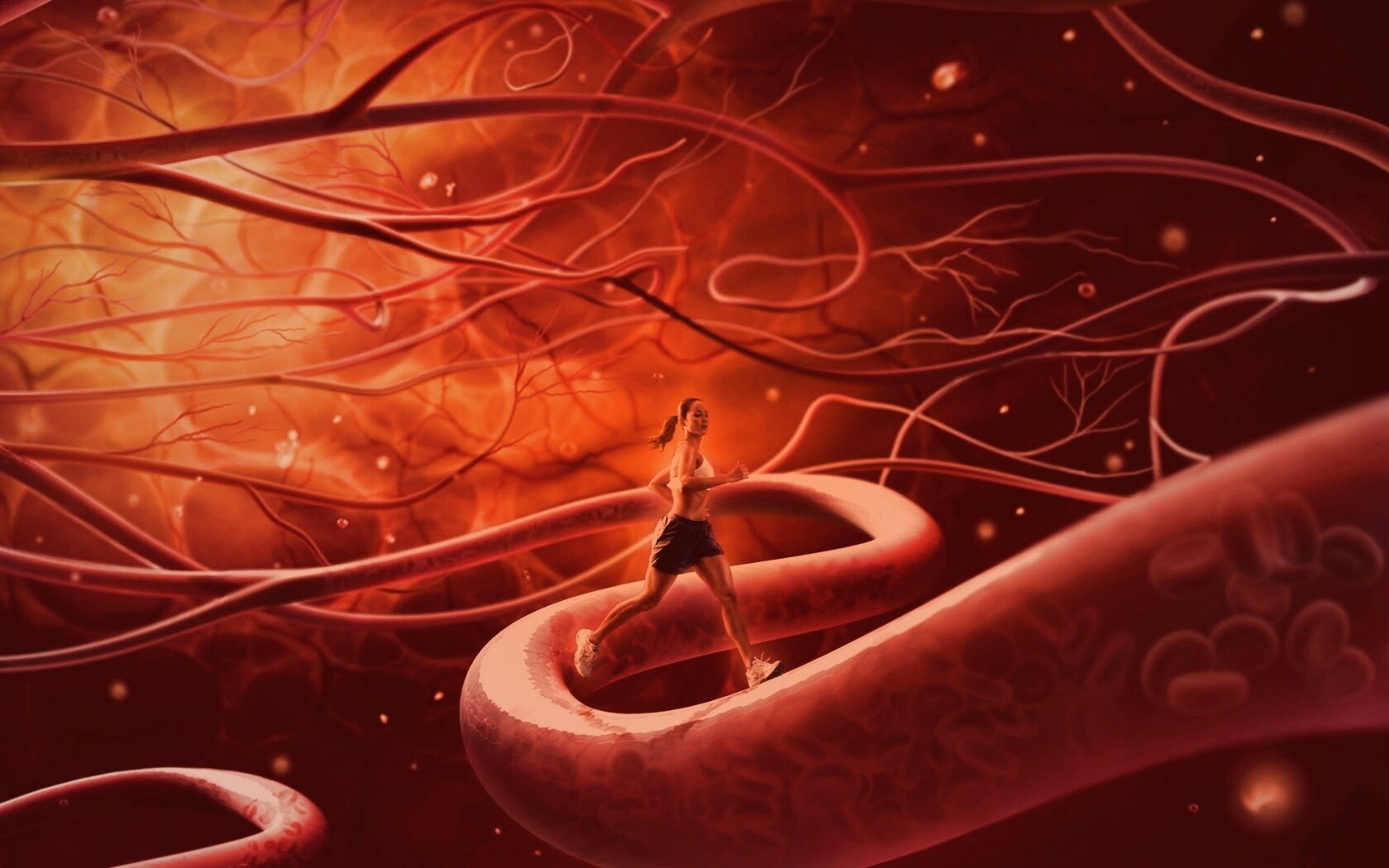 Бег крови обои