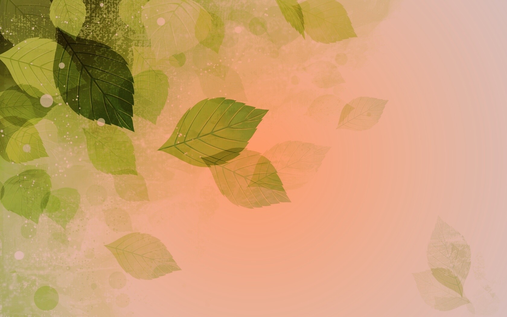 Прозрачные листья обои