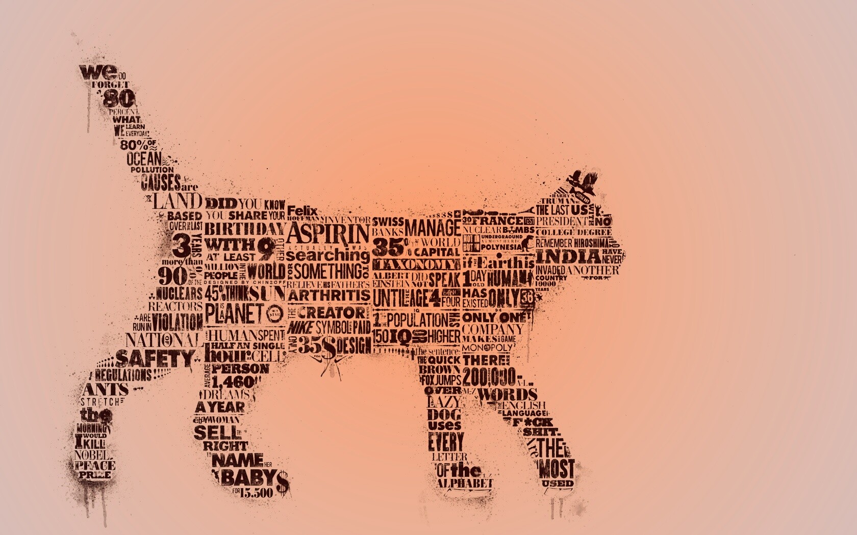 Кот - газета обои